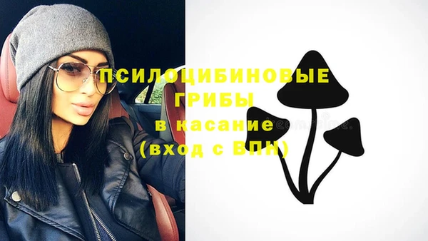 круглые Заводоуковск