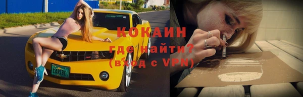 шишки Ельня