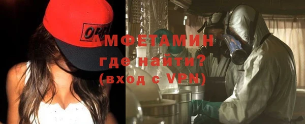 шишки Ельня