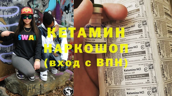 шишки Ельня