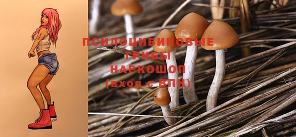 круглые Заводоуковск